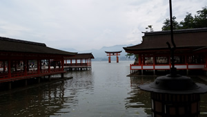 Tori Gate